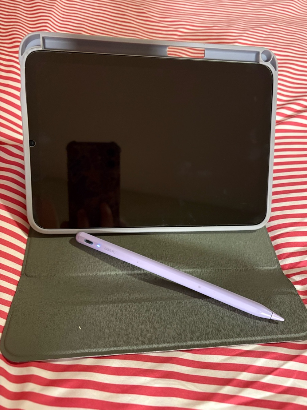 iPad mini (A17 Pro) — Excellent Condition — $400 OBO - Picture 5 of 6